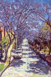 North Sydney Jacaranda, 1990